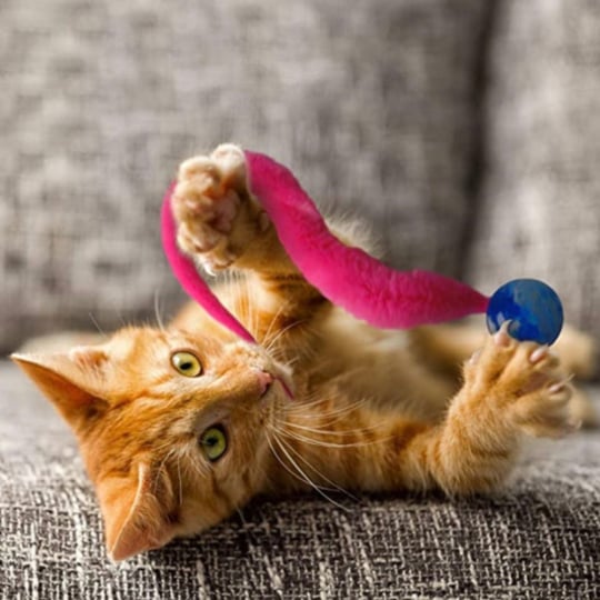 🔥Typisierter Wackelball für Katzen