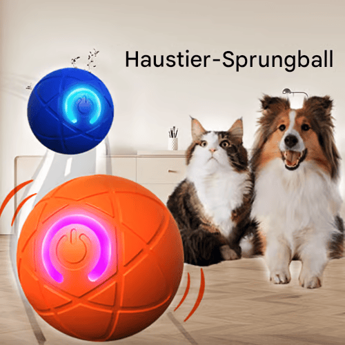 💖✨Haustier-Springball für Katzen🐱 und Hunde🐶